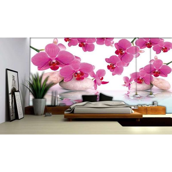 Fototapet floral - Orckidee - 368x254 /4 p/Vlies