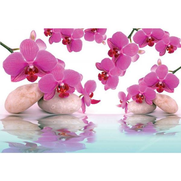Fototapet floral - Orckidee - 368x254 /4 p/Vlies