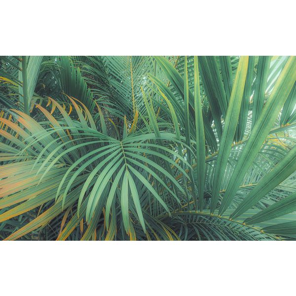 Fototapet decorativ - Jungla - 400 x 250 cm /4 p/Vlies