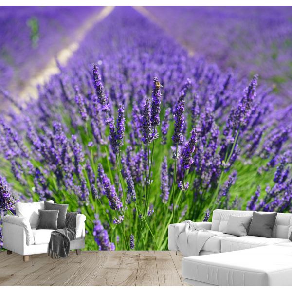 Fototapet decorativ  - Miros de lavanda - 392x272cm/5p./Vlies