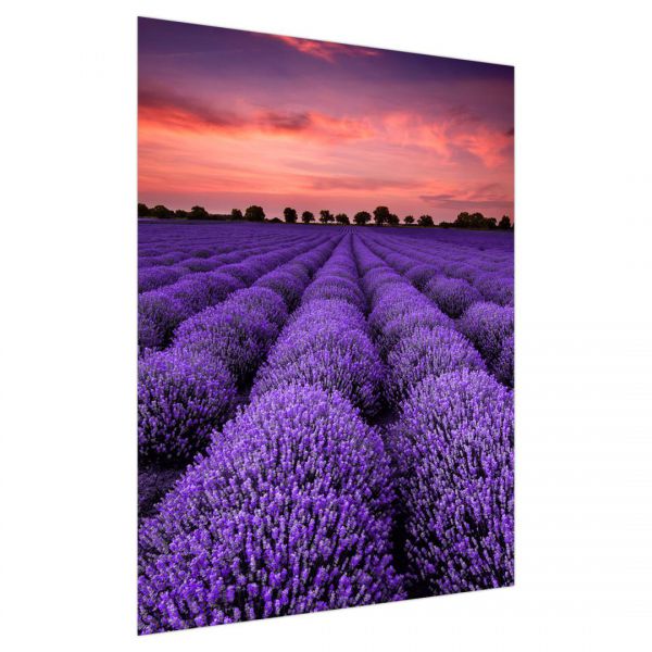 Fototapet decorativ  - Miros de lavanda - 392x272cm/5p./Vlies