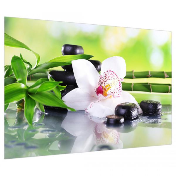 Fototapet floral - Orhidee - 368x254 /4 p/Vlies