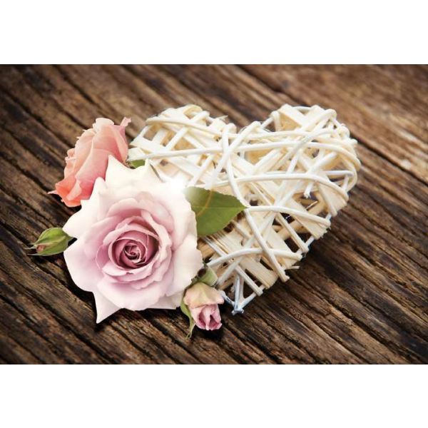 Fototapet floral - Orckidee - 368x254 /4 p/Vlies