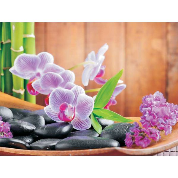Fototapet floral - Orckidee - 368x254 /4 p/Vlies