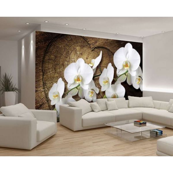 Fototapet floral - Orckidee - 368x254 /4 p/Vlies