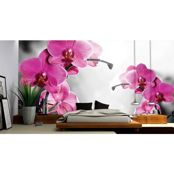 Fototapet floral - Orckidee - 368x254 /4 p/Vlies
