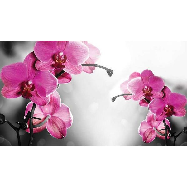 Fototapet floral - Orckidee - 368x254 /4 p/Vlies