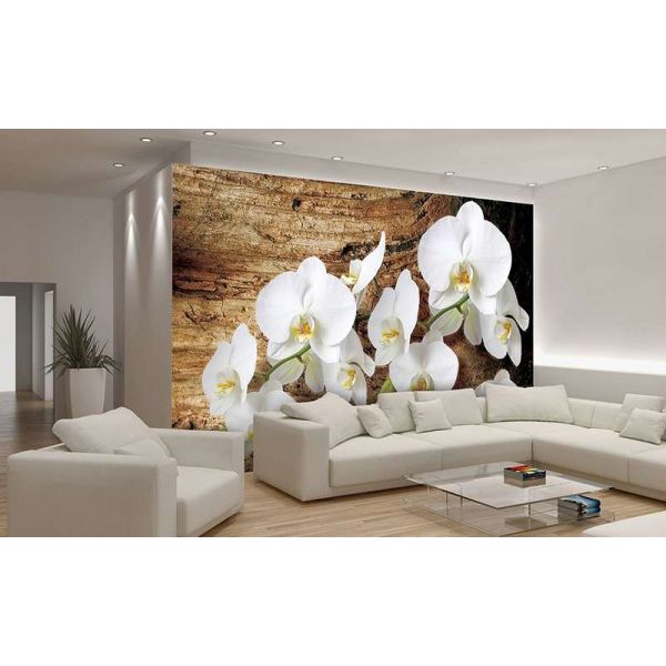 Fototapet floral - Orckidee - 368x254 /4 p/Vlies
