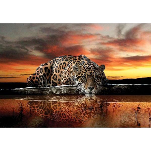 Fototapet decorativ  - Jaguar - 416x254cm/4p/Vlies -BU