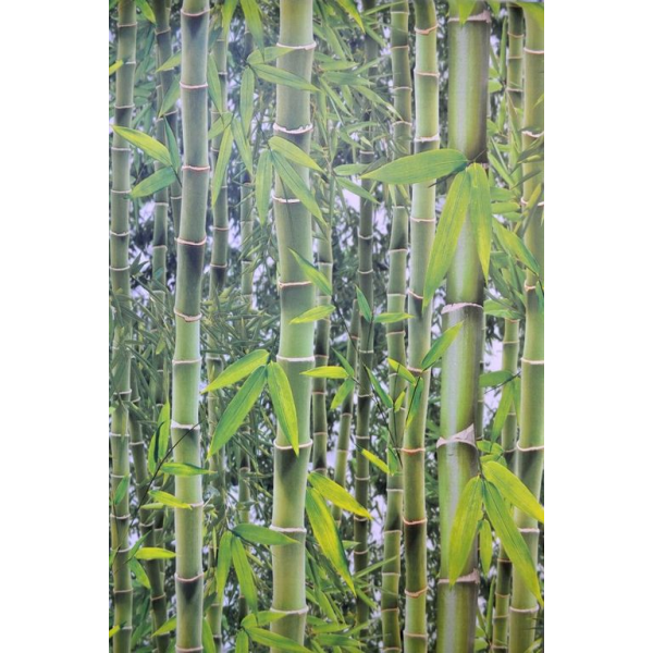 Tapet modern Bamboo - 5mp/rola