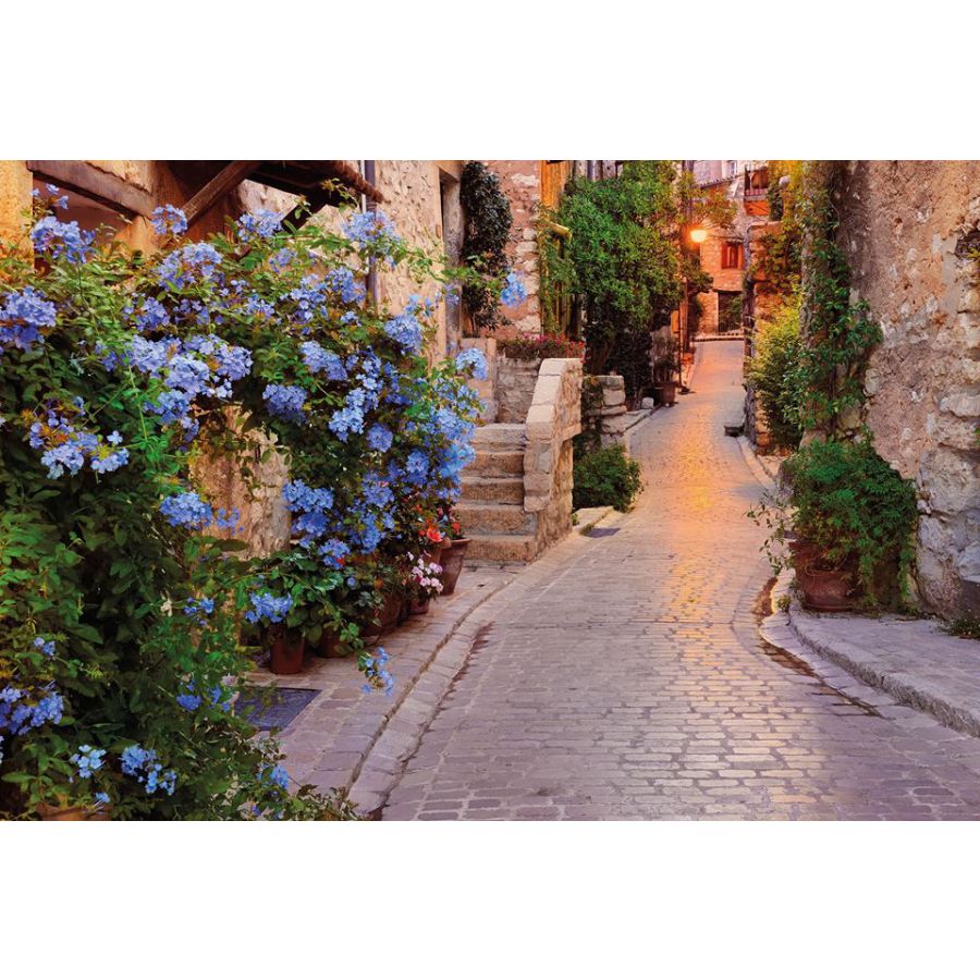 Fototapet Decorativ Fotoluminos Straduta Ingusta Cu Flori