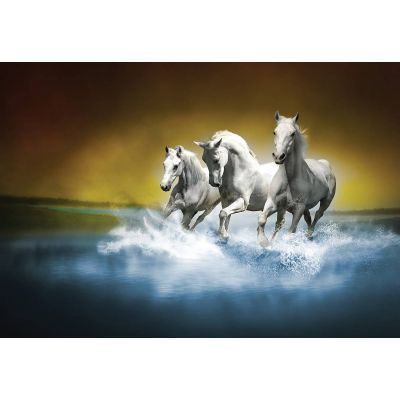 Fototapet decorativ - CAI alergand - 368x254 cm /Vlies/M