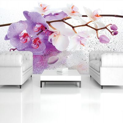 Fototapet floral - Orhidee - 368x254 /4 p/Vlies